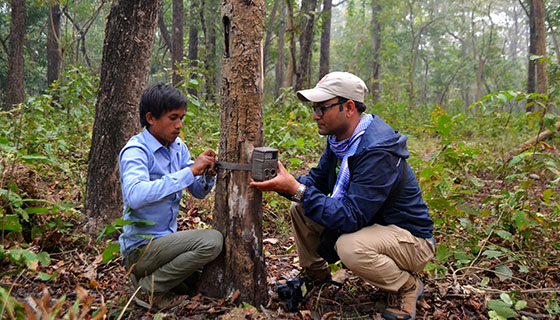 Forest and Bio-diversity Conservation